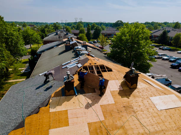 Trusted Storm Damage Roof Repair service in Delcambre, LA - Brentwood Metal Roofing